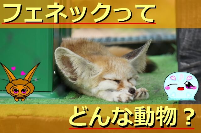 Thumbnail of post image 050